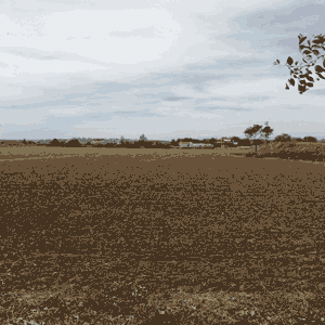 Parcela 3