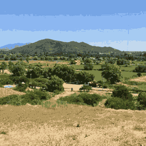 Parcela1